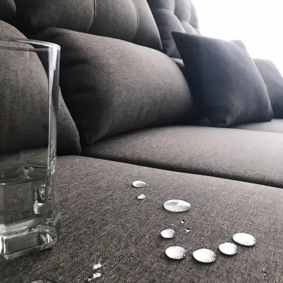 White Express Floripa - 1