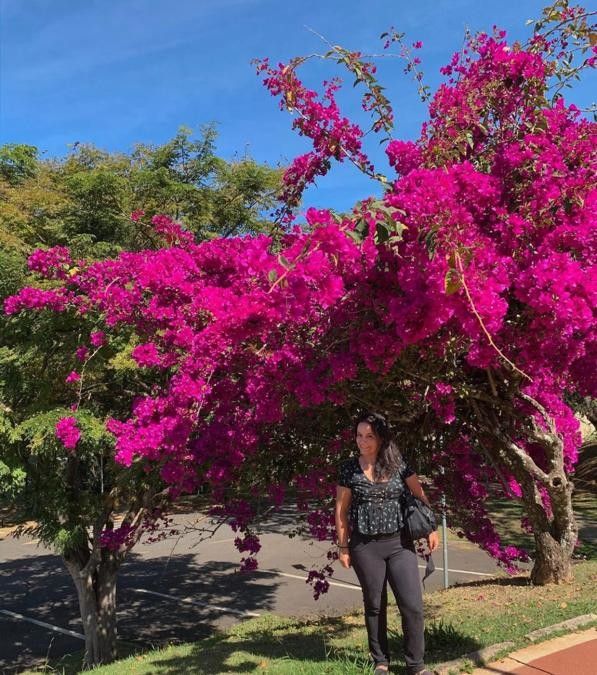 O que fazer em Araxá - 64