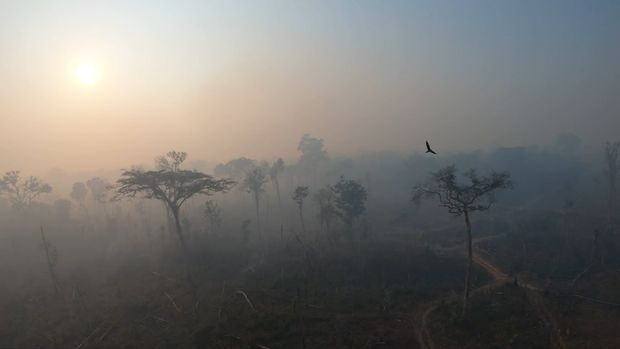 Documentário Mother of Air /documentario-mother-of-air