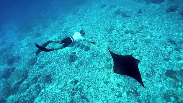 Em Busca do Último Paraíso - Canal Off /em-busca-do-ultimo-paraiso-canal-off