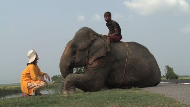 No Caminho - Multishow - Butão e Bangladesh /no-caminho-multishow-butao-e-bangladesh