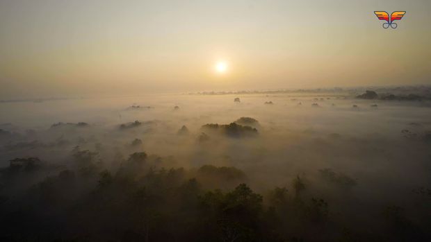 Imagens Aéreas Transamazônica /imagens-aereas-transamazonica