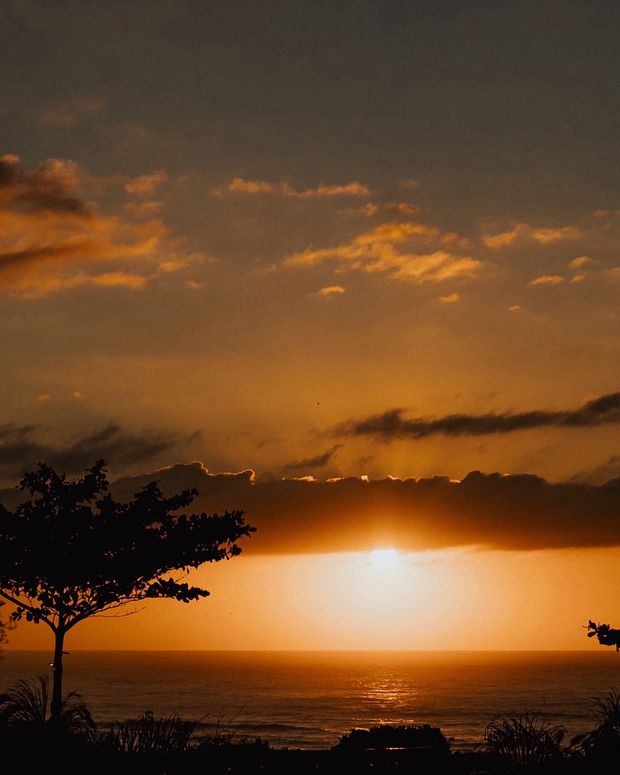 "Pro dia nascer feliz!" /pro-dia-nascer-feliz
