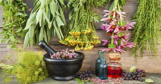 Como fazer banhos de ervas /como-fazer-banhos-de-ervas