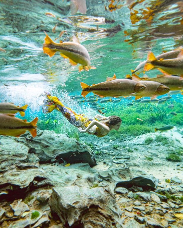 Mergulhando em Bonito - MS /mergulhando-em-bonito-ms