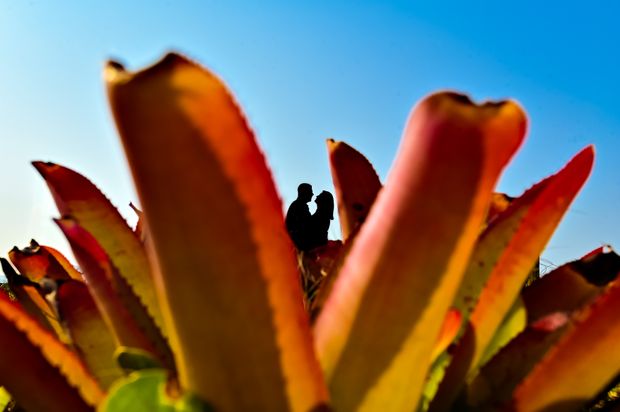 Julia & Edgar /julia-edgar