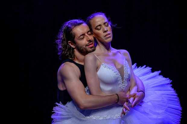 O Lago dos Cisne - BLA (Ballet Livre Adulto) /o-lago-dos-cisne-bla-ballet-livre-adulto