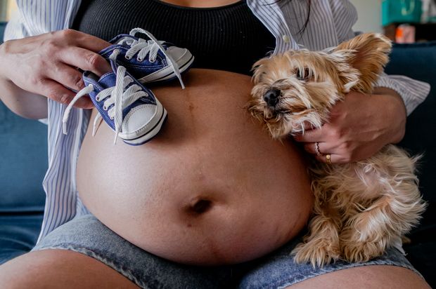 Vem, Levi! Ensaio de Gestante em São Paulo SP /vem-levi-ensaio-de-gestante-em-sao-paulo-sp