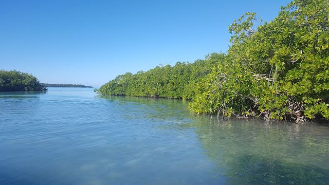 Punta Cana, Bayahibe e Santo Domingo: nosso roteiro com as crianças pela República Dominicana! - 21