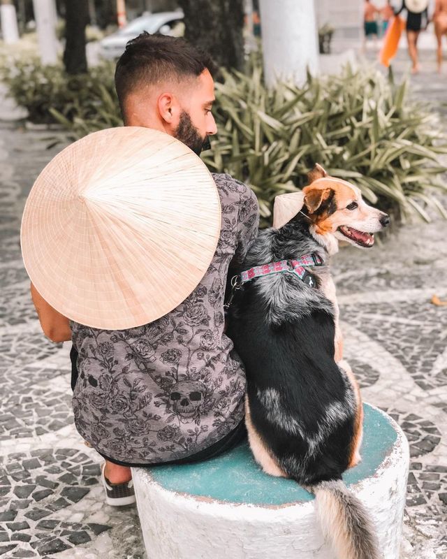 Vai viajar de carro com seu pet? Confira estas 7 dicas /vai-viajar-de-carro-com-seu-pet-confira-estas-7-dicas