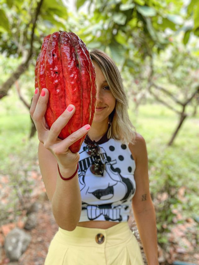 Curiosidades da Costa Rica: 10 coisas que você deveria saber! /curiosidades-da-costa-rica-10-coisas-que-voce-deveria-saber