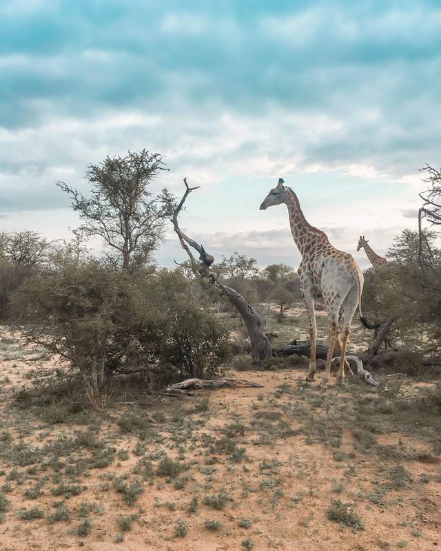 O que fazer na África do Sul: dicas para sua viagem /o-que-fazer-na-africa-do-sul-dicas-para-sua-viagem