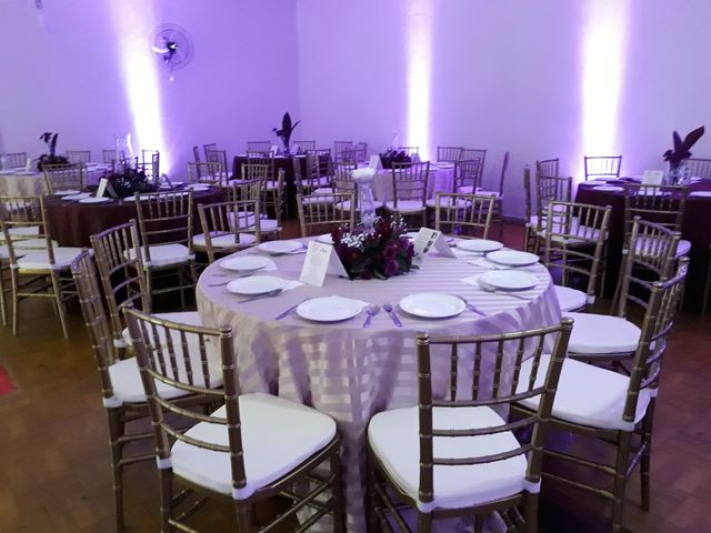 Cadeiras Tiffany Douradas /cadeiras-tiffany-douradas