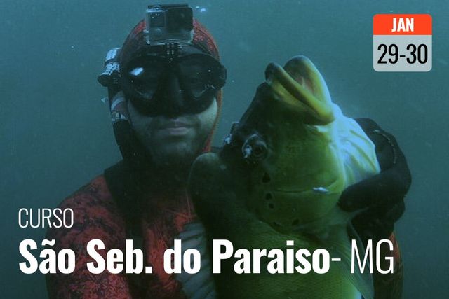 Curso Freediver Padi e Pesca Sub São Sebastião do Paraíso/MG /curso-freediver-padi-e-pesca-sub-sao-sebastiao-do-paraisomg