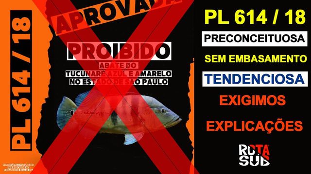 Projeto de LEI PL 614/18 contra pescae nosso ponto de vista /projeto-de-lei-pl-61418-contra-pescae-nosso-ponto-de-vista