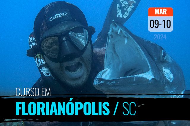 Curso de PESCA SUB em Florianópolis/SC /curso-de-pesca-sub-em-florianopolissc2