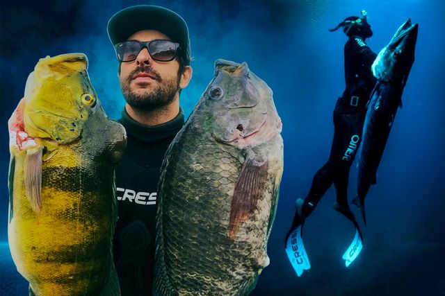 Curso de Pesca Sub (Basic Oxigênio Master) /curso-de-pesca-sub-basic-oxigenio-master