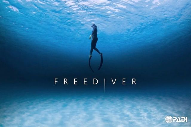 Curso Freediver Padi /curso-freediver-padi