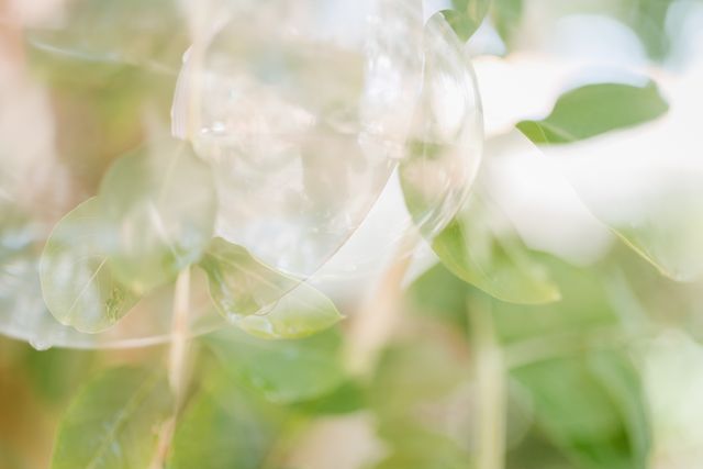 Semeando Água /semeando-agua