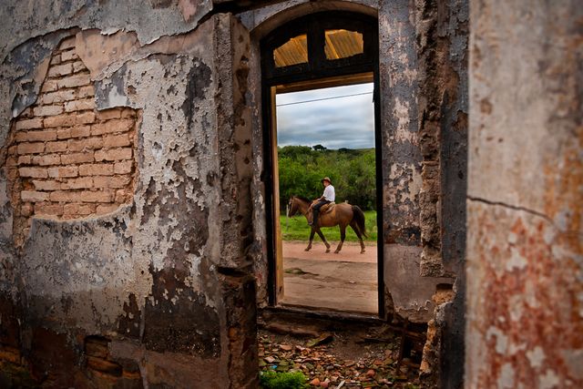 Os Novos Gaúchos /os-novos-gauchos