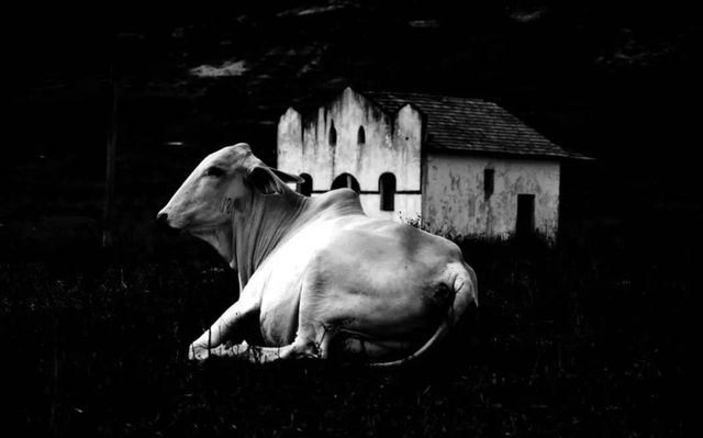 Procura-se /procura-se