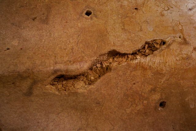 Tatuagens da Alma, Corpo e Seus Movimentos /tatuagens-da-alma-corpo-e-seus-movimentos