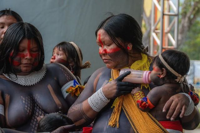 COP30 Exhibition by Nádia Borborema /cop30-exhibition-by-nadia-borborema