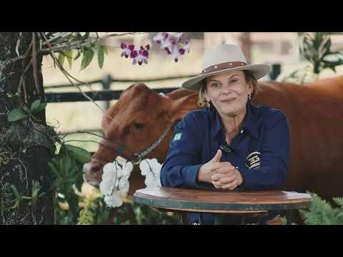 Institucional agropecuária 3G /institucional-agropecuaria-3g