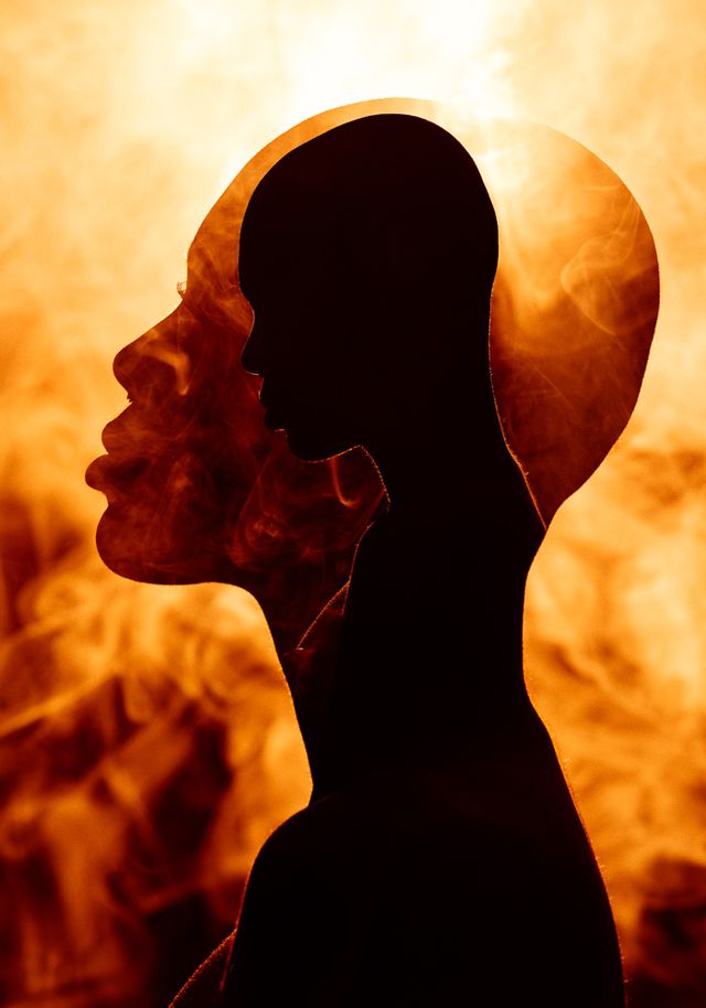 Falsa Vida /falsa-vida