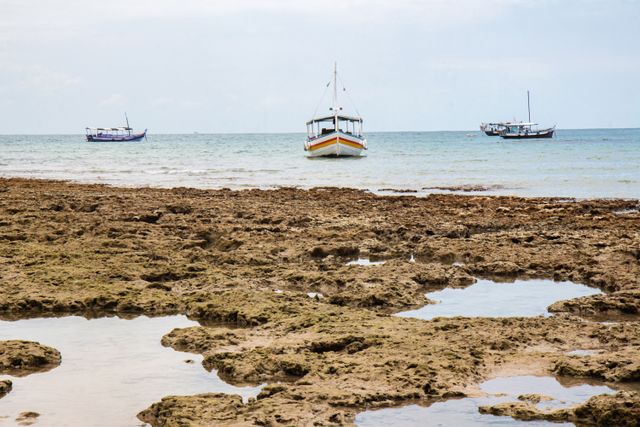 Entre Areias e Encantos - Boipeba e Moreré /entre-areias-e-encantos-boipeba-e-morere