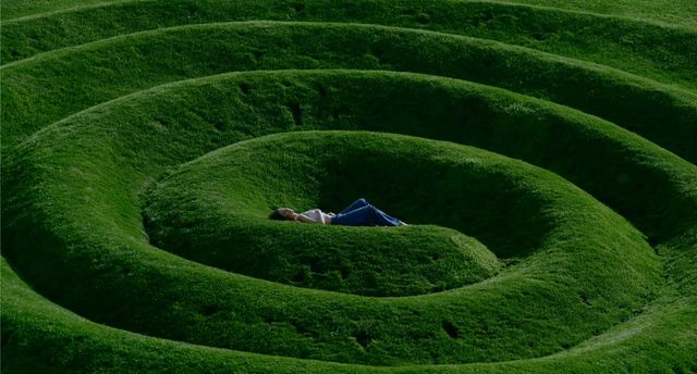 Indica vs Sativa - Efeitos e Diferenças /indica-vs-sativa-efeitos-e-diferencas