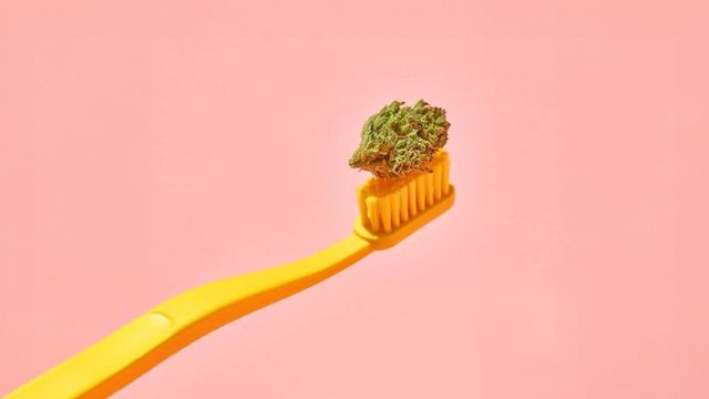 Tratamento com cannabis: uso terapêutico e benefícios para saúde /tratamento-com-cannabis-uso-terapeutico-e-beneficios-para-saude