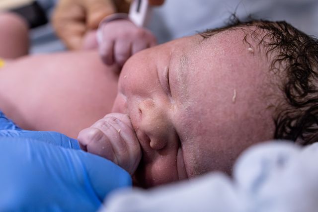Bem-vindo Léo! /bem-vindo-leo