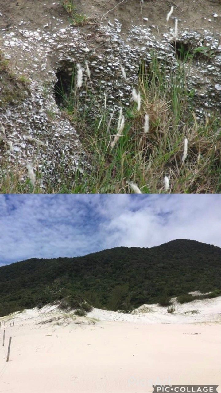 3 Sambaquis do Brasil - 5