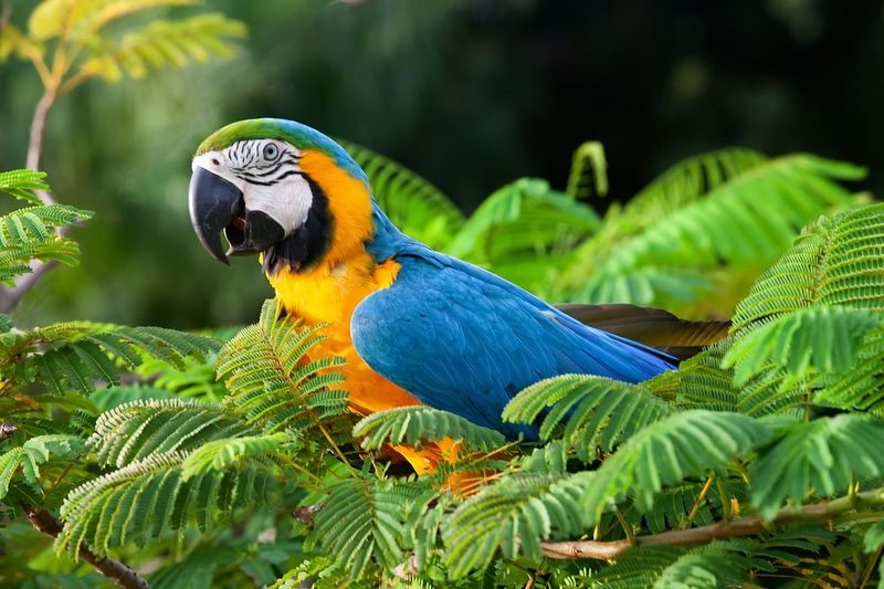 Digite aqui ou escolha uma sugestão - Slide 1