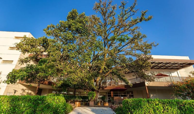 Shopping Iguatemi Rio Preto investe R$2,5milhões para 8 novas lojas /shopping-iguatemi-rio-preto-investe-r25milhoes-para-8-novas-lojas