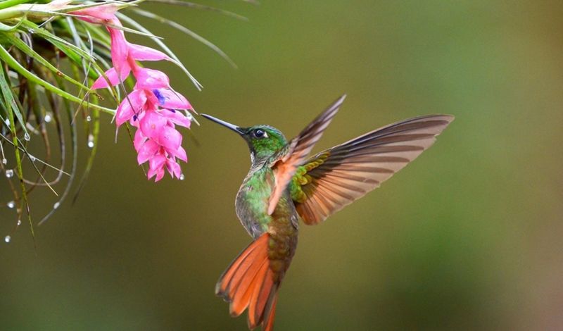 Olhar feminino homenageia mulheres no Riopreto Shopping /olhar-feminino-homenageia-mulheres-no-riopreto-shopping