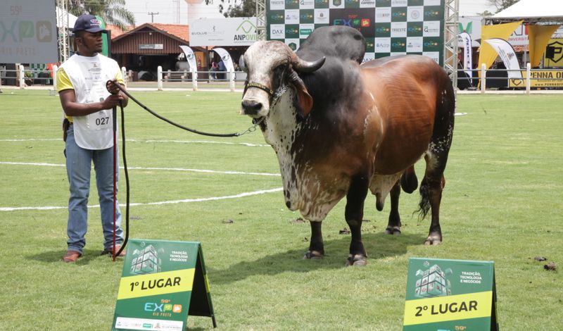 Expo Rio Preto 60 anos - maior feira agropecuária do Interior de SP /expo-rio-preto-60-anos-maior-feira-agropecuaria-do-interior-de-sp