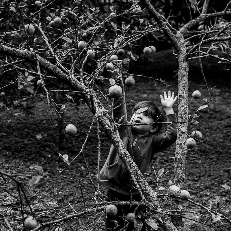 Segundo concurso - 6 - 0