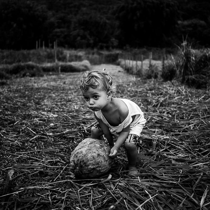 Primeiro concurso do FDF - 7 - 2