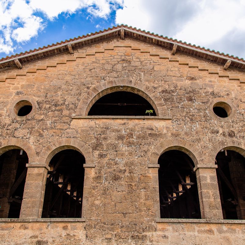 Ensaio Pré-Wedding na Fazenda Ipanema - Maria e Charley - 2 - 2