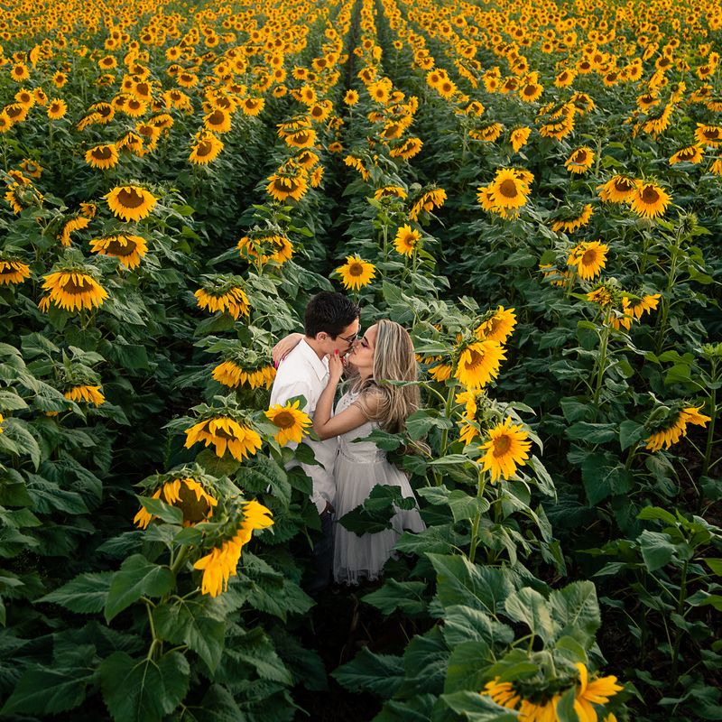 ENSAIO PRÉ-CASAMENTO EM HOLAMBRA - MARIA EDUARDA E ÁLVARO - 2 - 0
