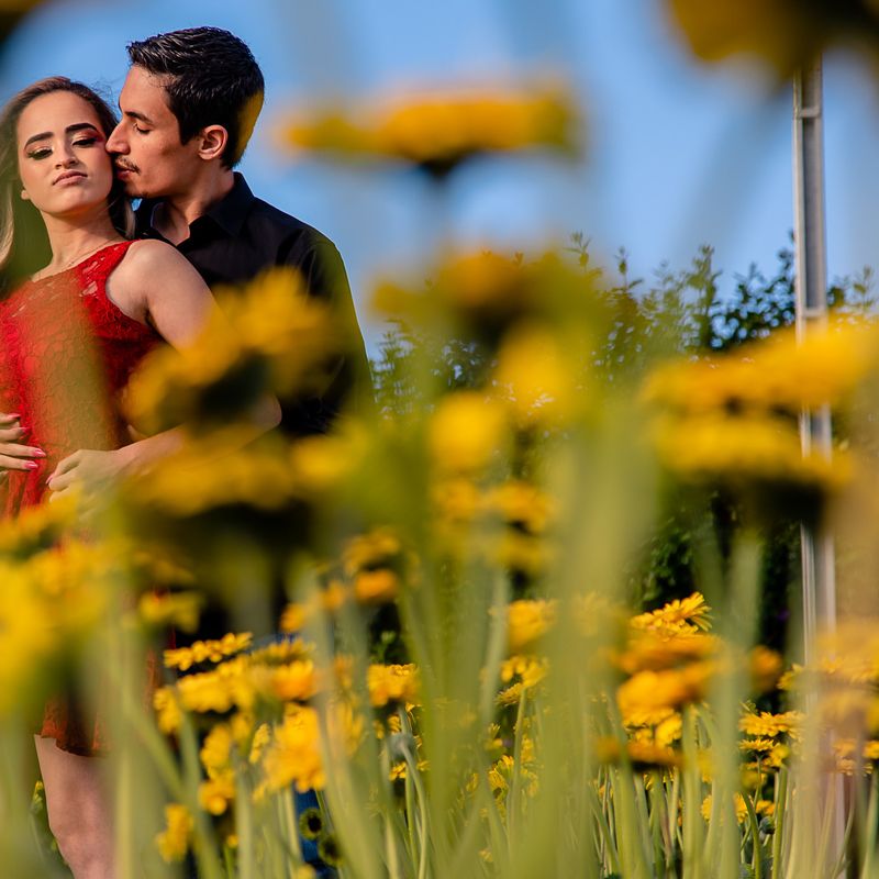 ENSAIO PRÉ-CASAMENTO EM HOLAMBRA - MARIA EDUARDA E ÁLVARO - 2 - 2