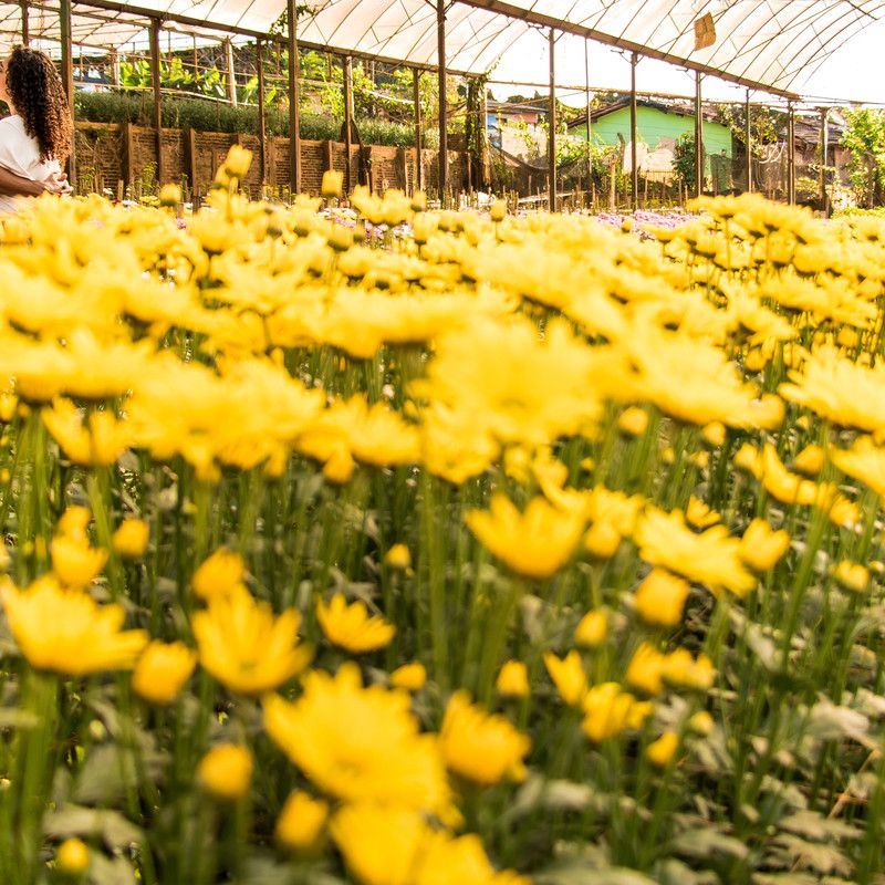 ENSAIO PRÉ CASAMENTO - TAYNARA E MARCOS - 2 - 2