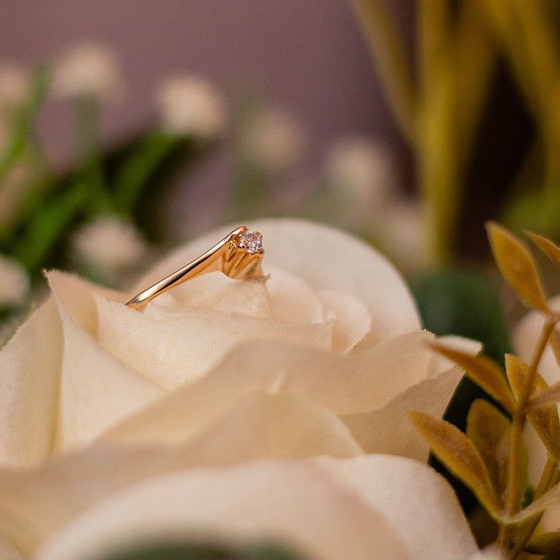 THAINÁ SILVA - A FESTA DE 15 ANOS - 2 - 2