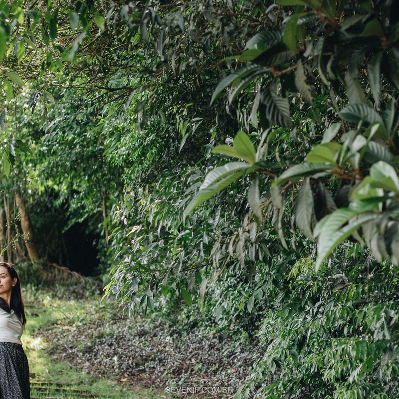 Um Ensaio Pré-Wedding Inesquecível: Camila e Eduardo em São Roque - 2 - 0