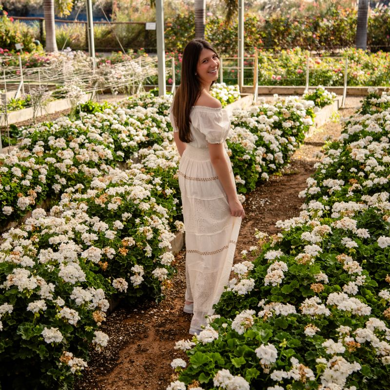 Ensaio Fotográfico de 15 Anos da Ester em Holambra – Um Sonho Florido - 2 - 1