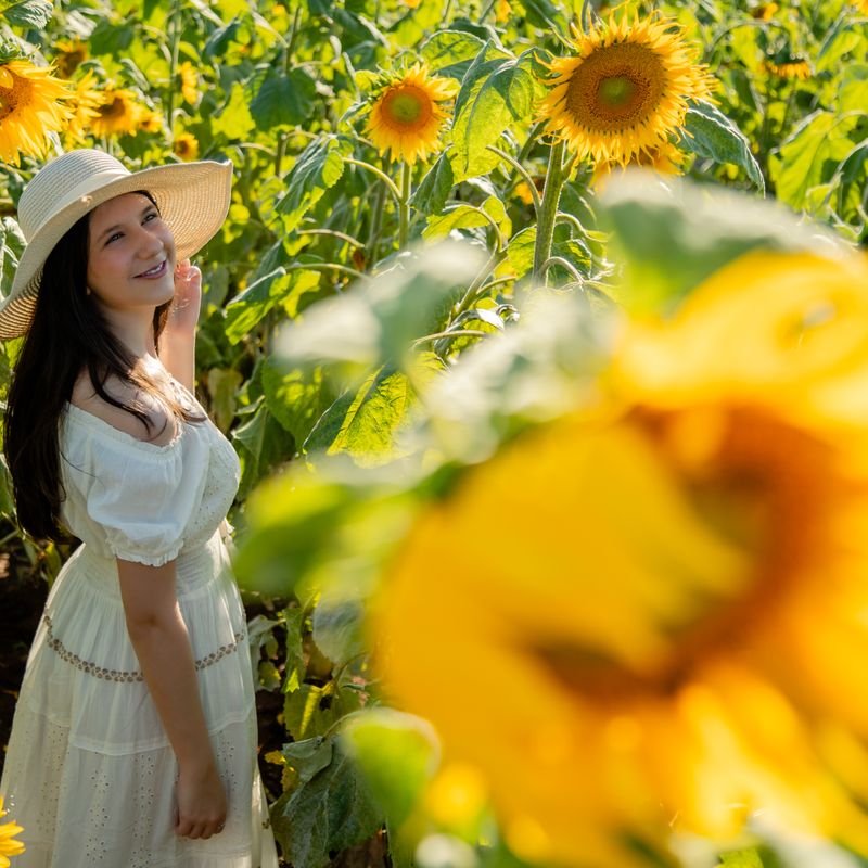 Ensaio Fotográfico de 15 Anos da Ester em Holambra – Um Sonho Florido - 2 - 0