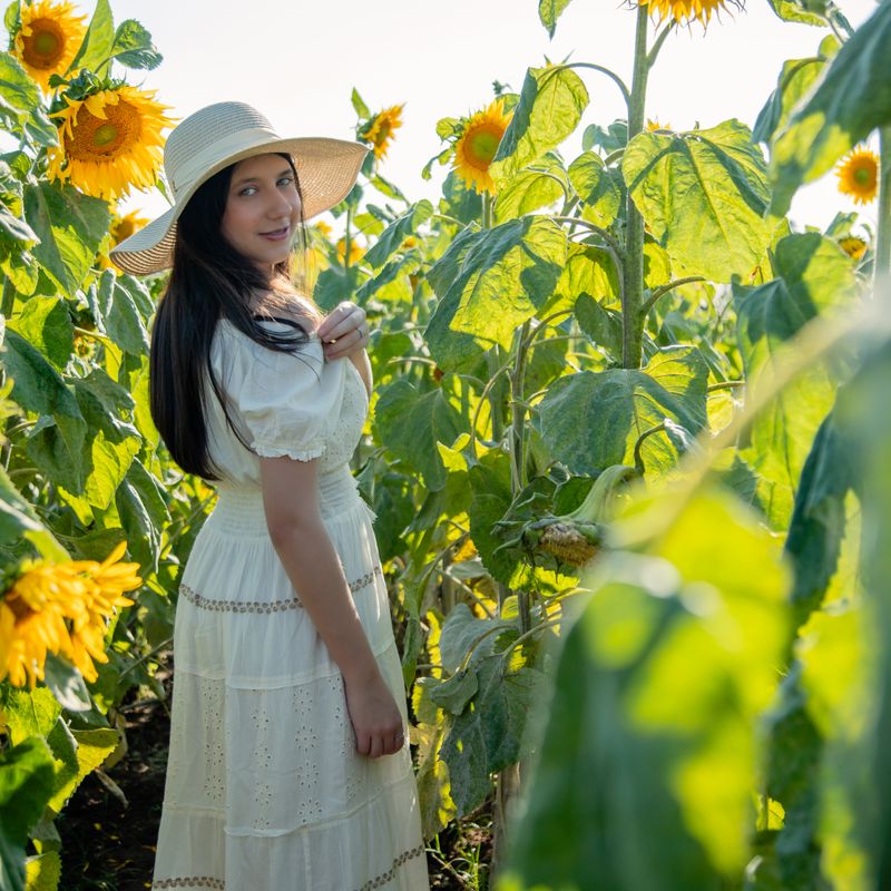 Ensaio Fotográfico de 15 Anos da Ester em Holambra – Um Sonho Florido - 2 - 0