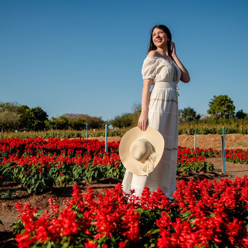 Ensaio Fotográfico de 15 Anos da Ester em Holambra – Um Sonho Florido - 2 - 1